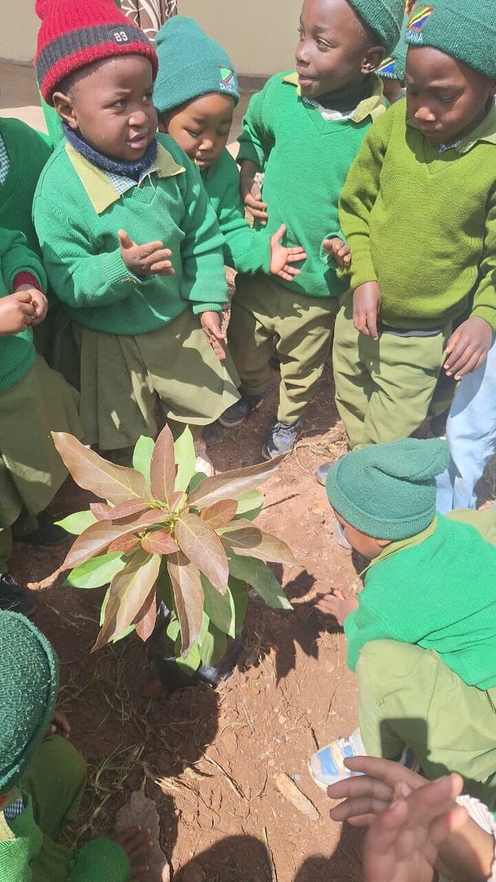 Children crouching and standing around a young tree seedling newly planted in bare red earth, reaching towards it.